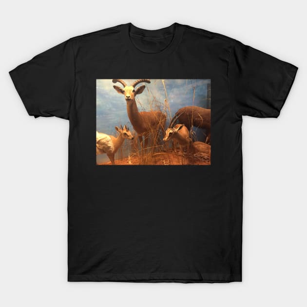 Gazelle Yell T-Shirt by panther-star